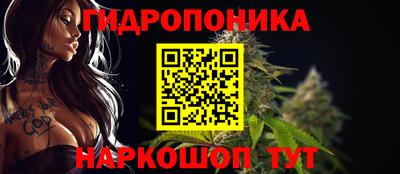 PSILOCYBIN Бугуруслан