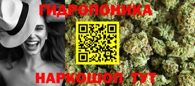 PSILOCYBIN Бугуруслан